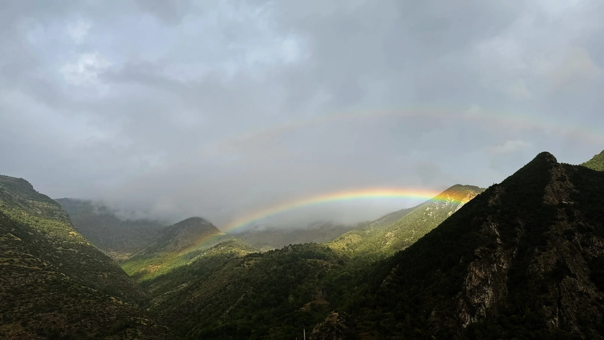 VISUAL DIARY ©BSP IMG_7973.jpg