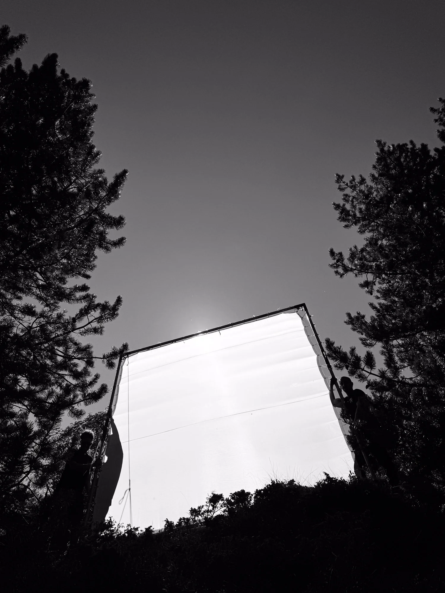 VISUAL DIARY ©BSP IMG_8361.jpg