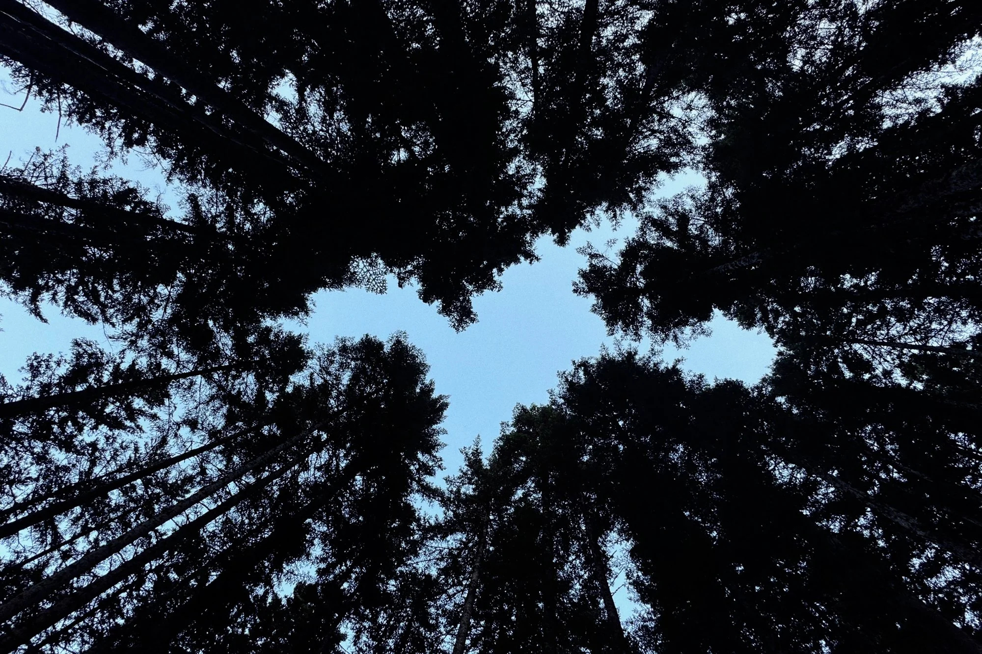 VISUAL DIARY ©BSP IMG_8525.jpg