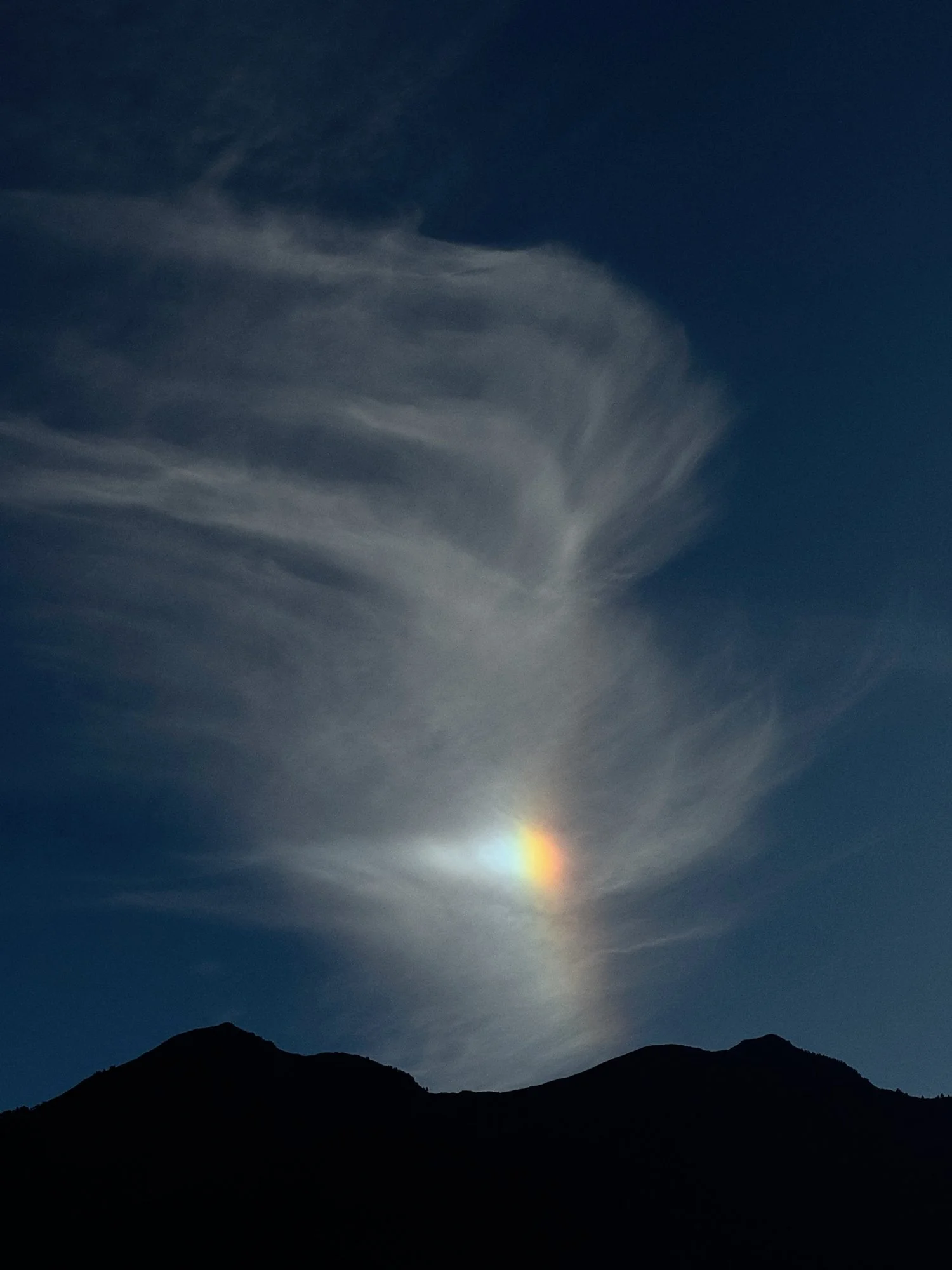 VISUAL DIARY ©BSP IMG_8806.jpg