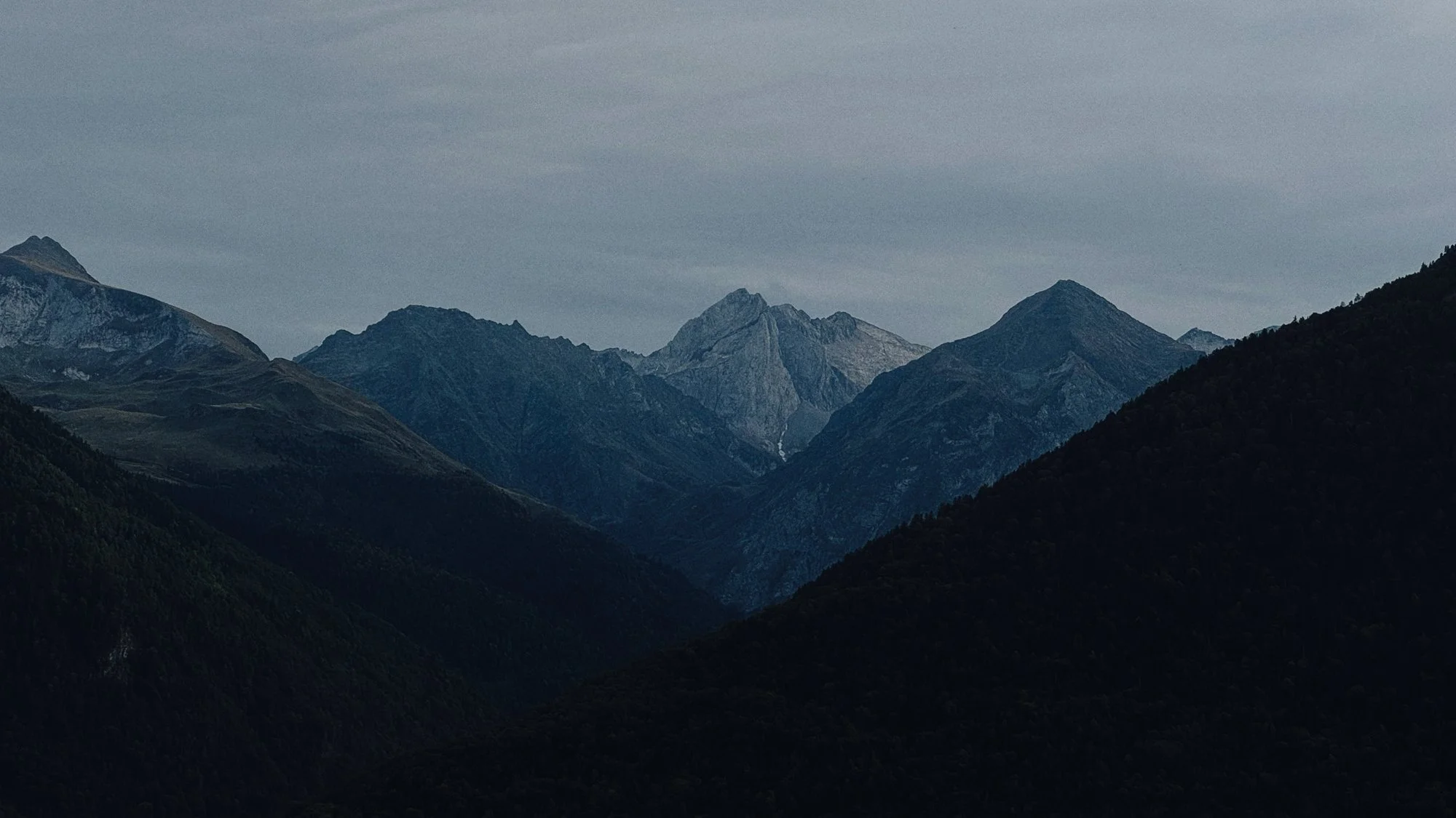 VISUAL DIARY ©BSP IMG_8826.jpg