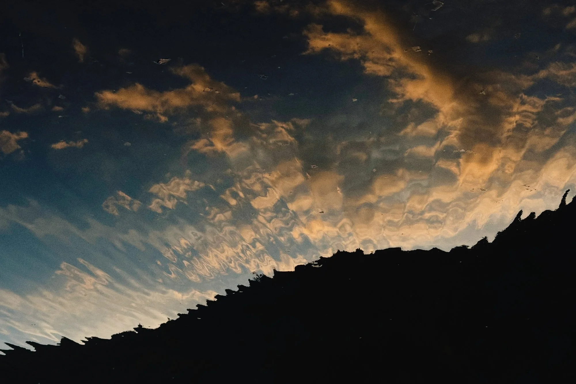 VISUAL DIARY ©BSP IMG_8953.jpg