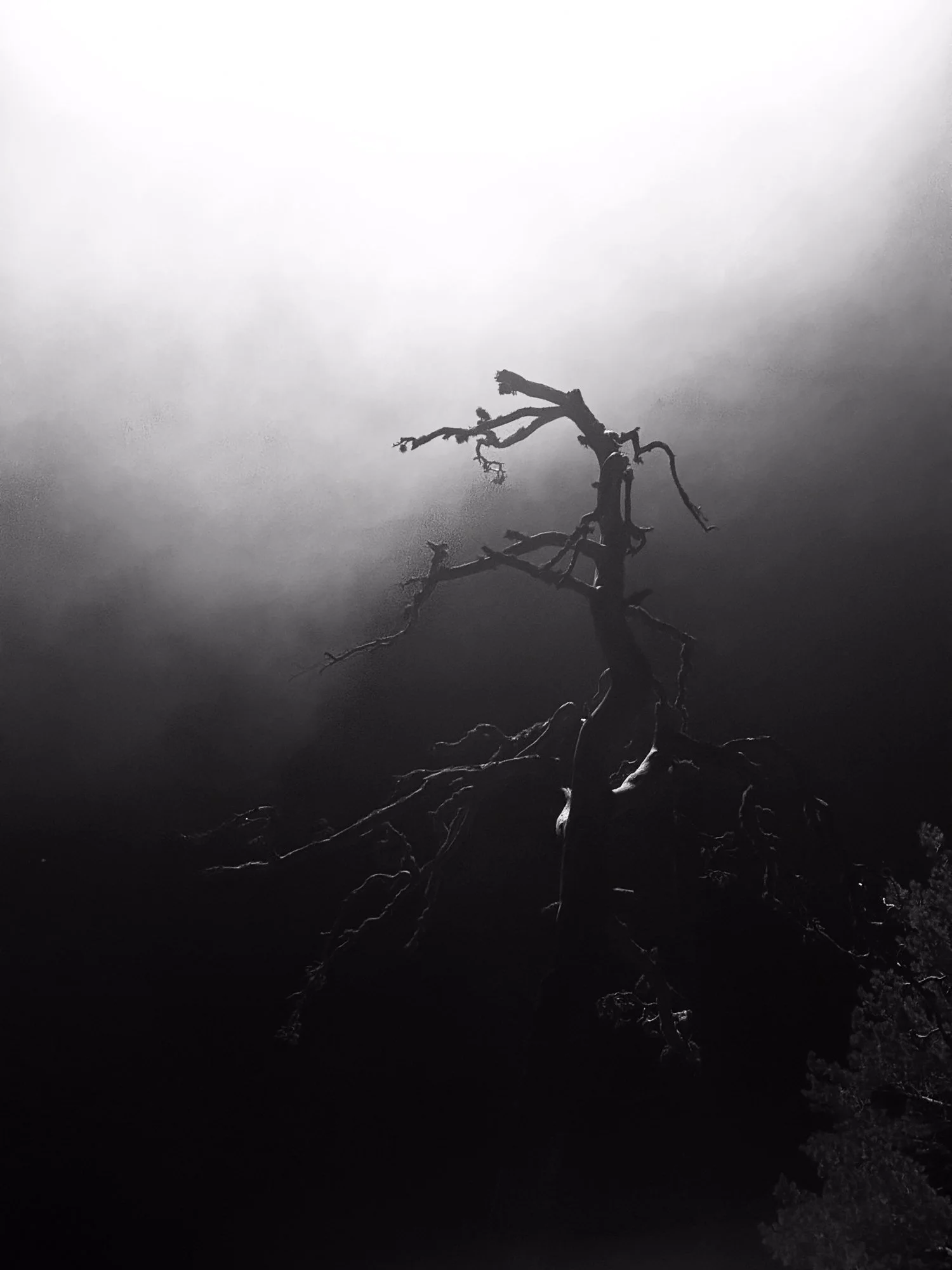 VISUAL DIARY ©BSP IMG_9250.jpg