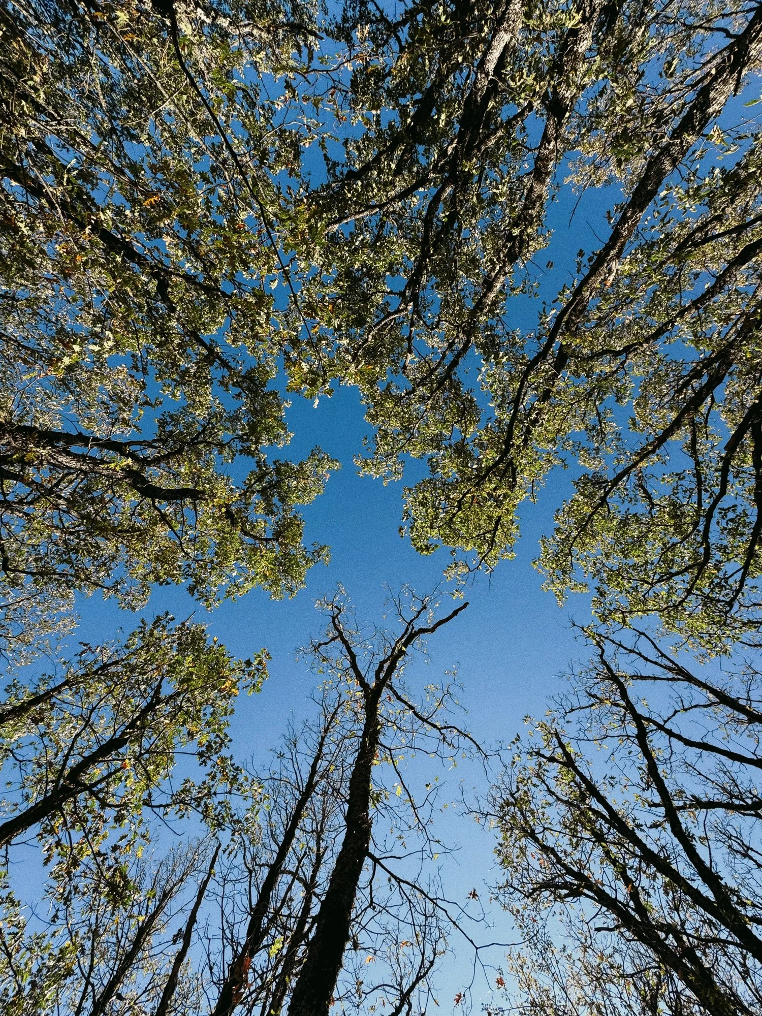 VISUAL DIARY ©BSP IMG_9205.jpg