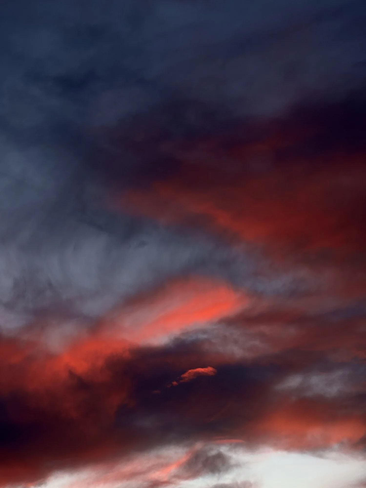 VISUAL DIARY ©BSP IMG_9605.jpg