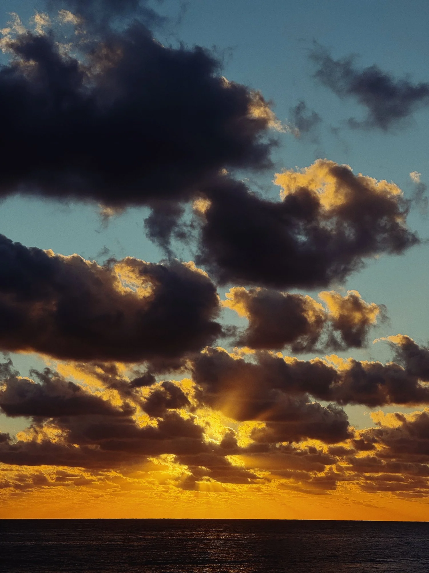 VISUAL DIARY ©BSP IMG_0512.jpg