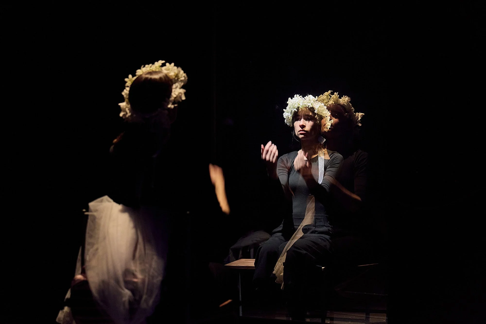 CDN GRITO BODA Y SANGRE ©BSP __27A1241.jpg