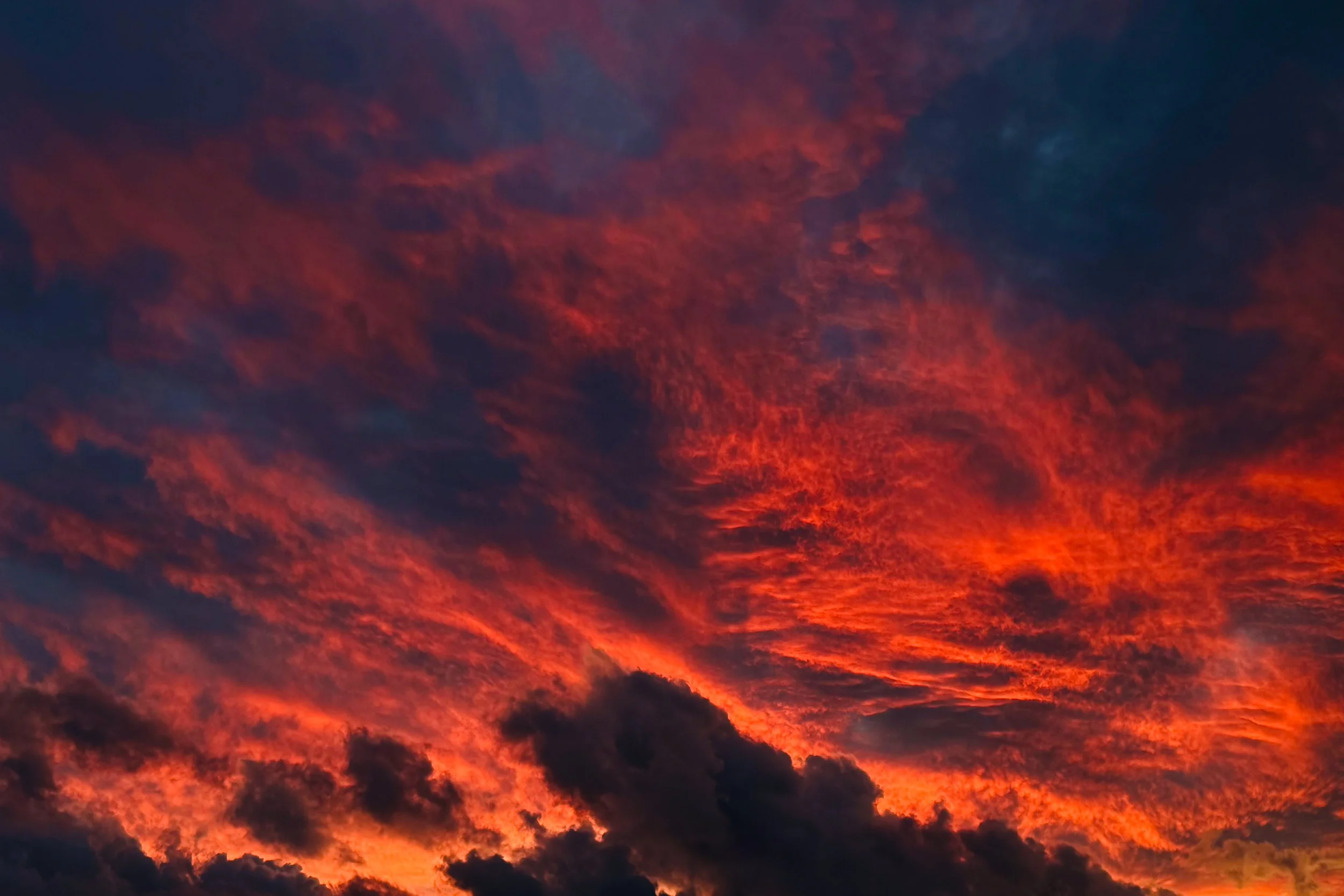 VISUAL DIARY ©BSP IMG_1004.jpg