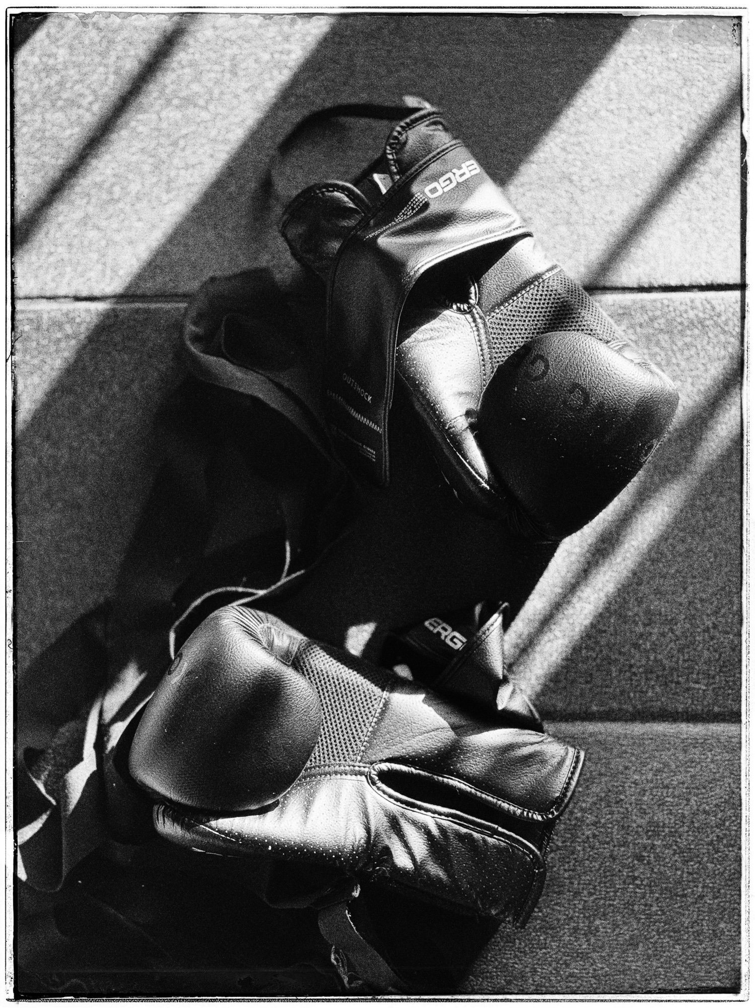 VISUAL DIARY ©BSP IMG_1424_SnapseedCopy.jpg