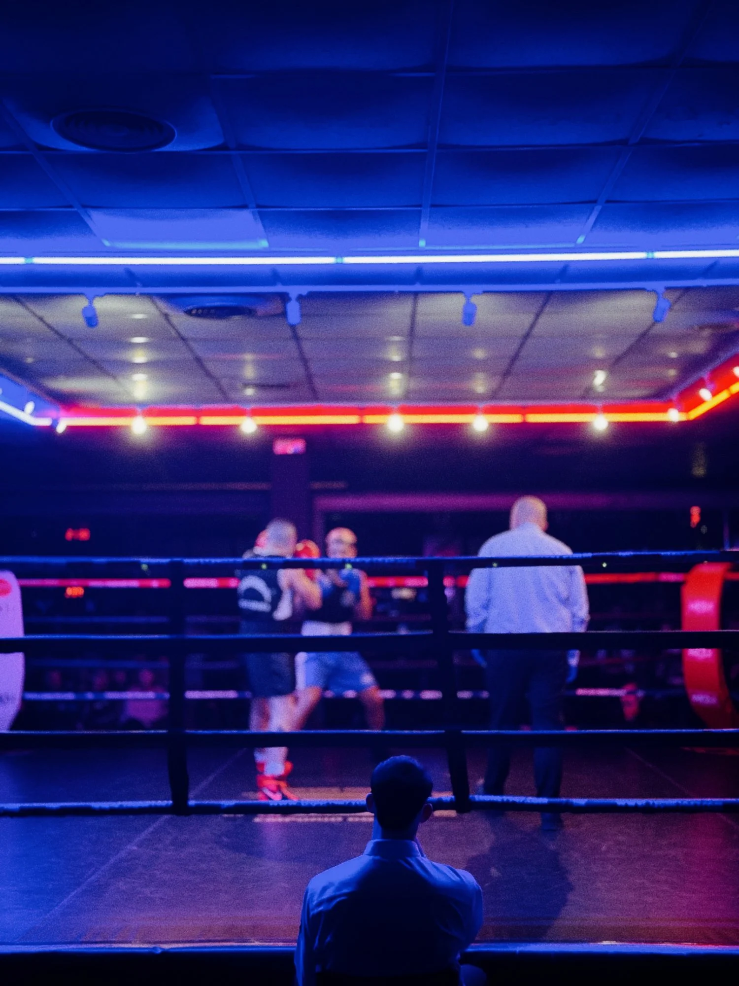 VISUAL DIARY ©BSP 140326.jpg