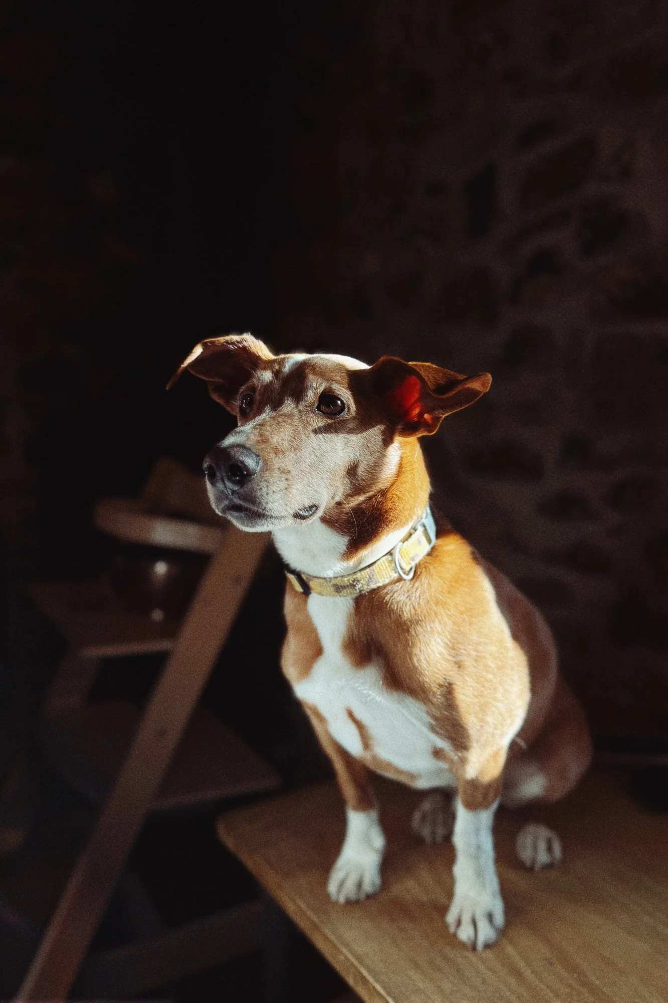 VISUAL DIARY ©BSP IMG_1906.jpg