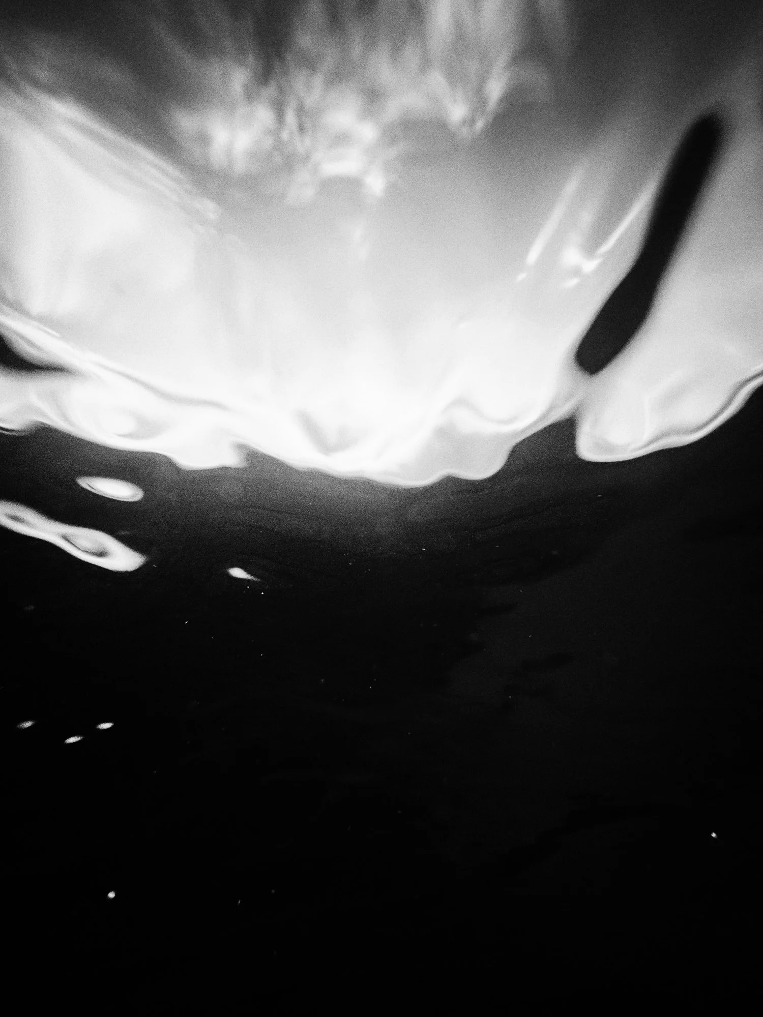VISUAL DIARY ©BSP 230924-3.jpg