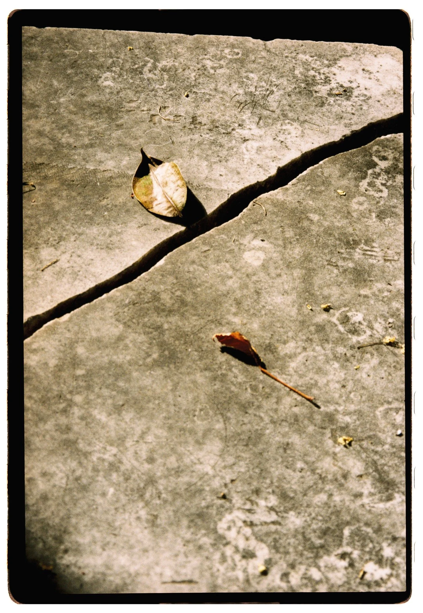 KodakGold200_30.jpg