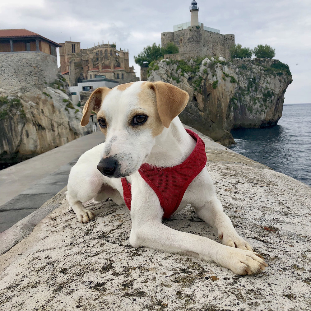 En Castro Urdiales.