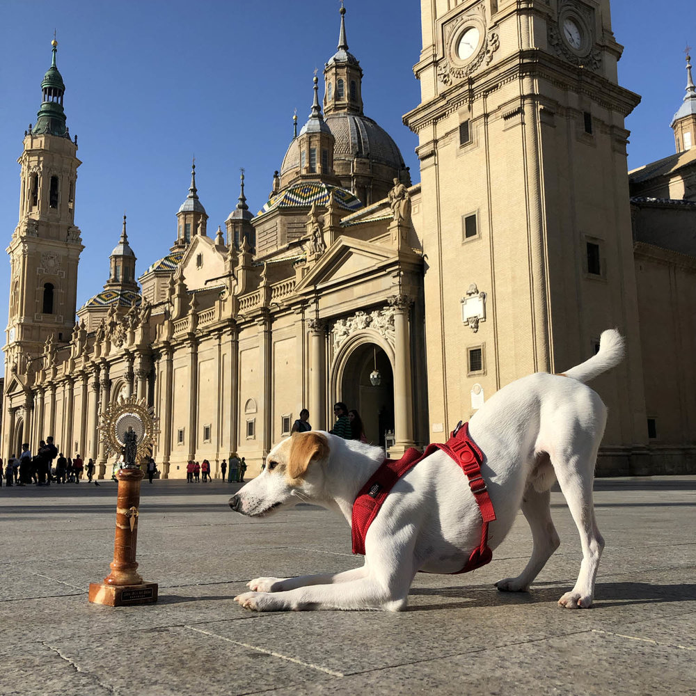 Pipper ante El Pilar.