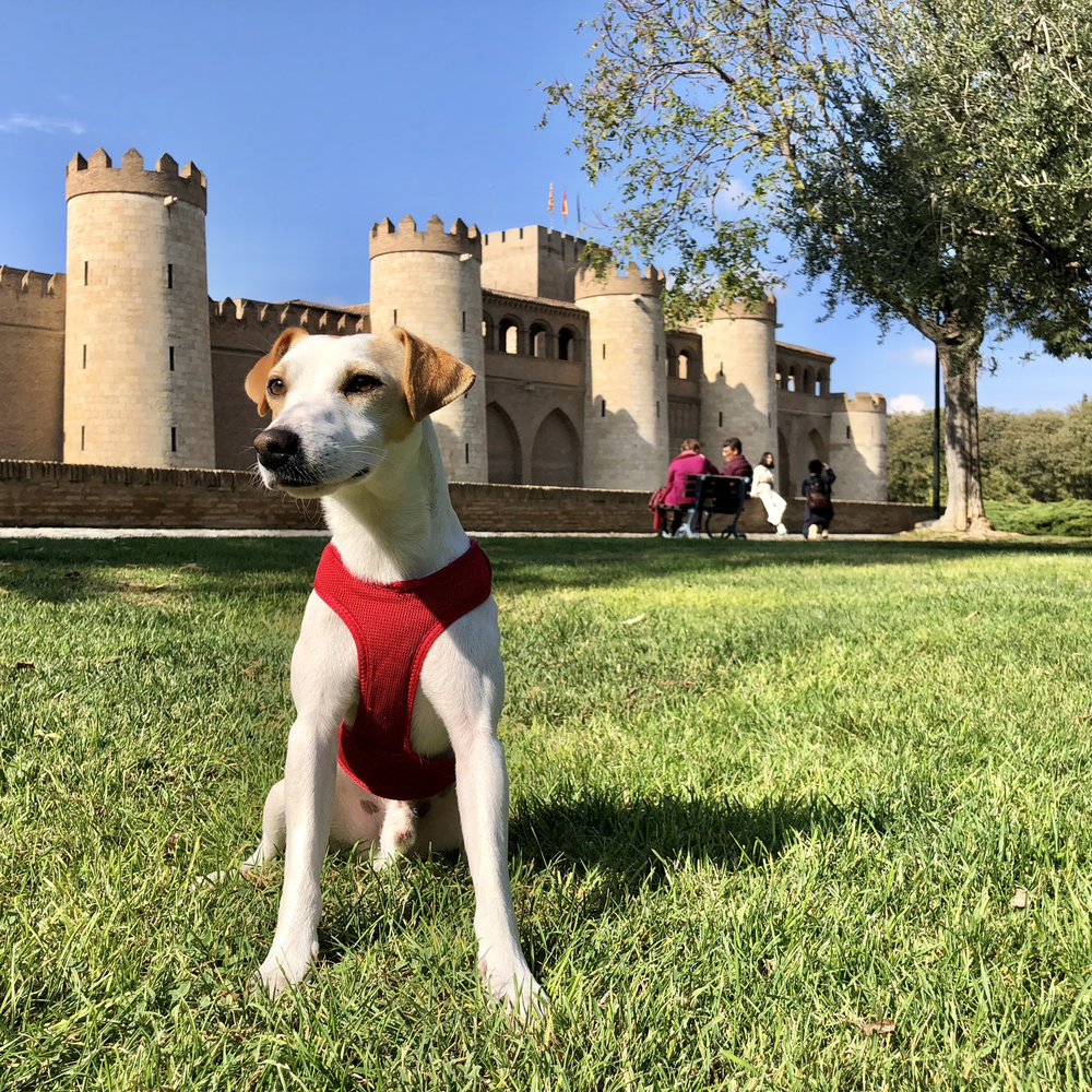 En el parque de La Aljafería.