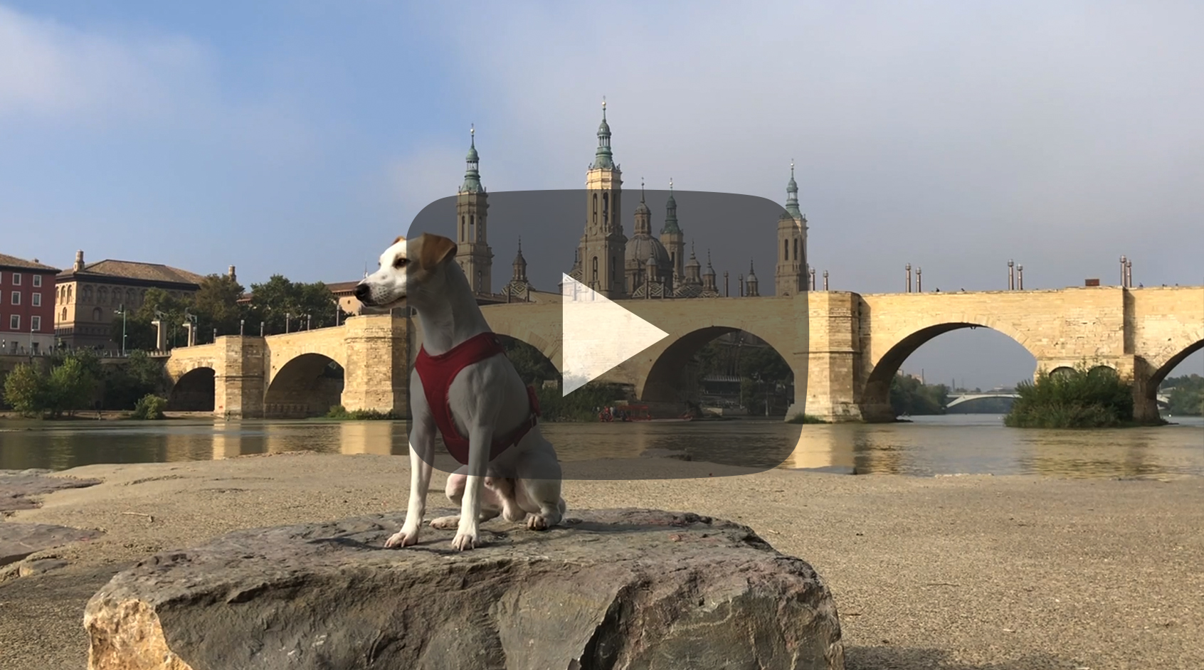 Pipper en Aragón.