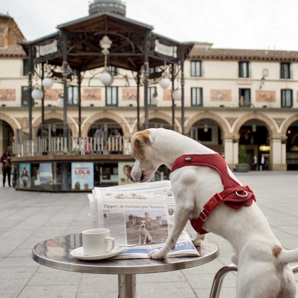 Leyendo el periódico en la Plaza de Tudela.