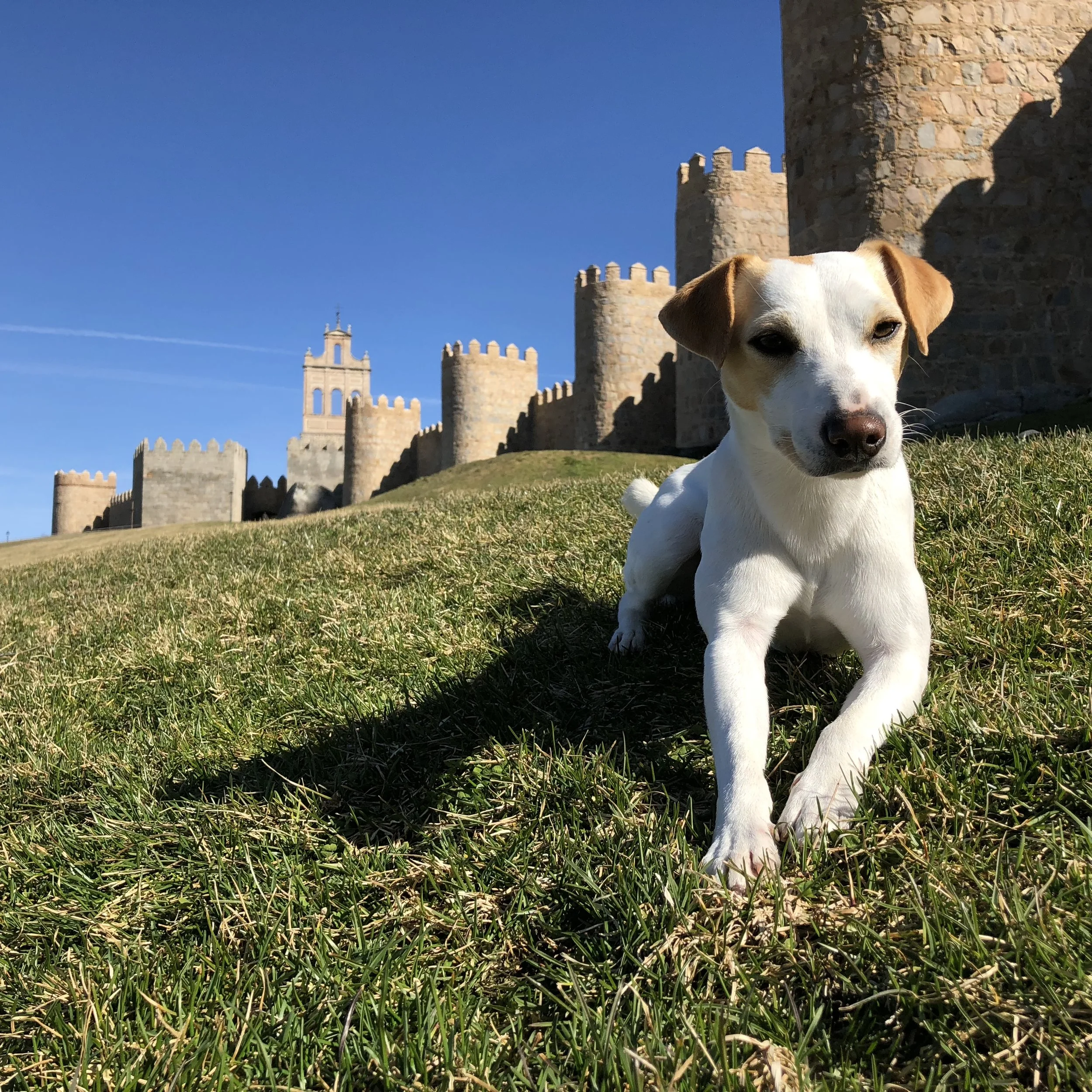 ÁVILA