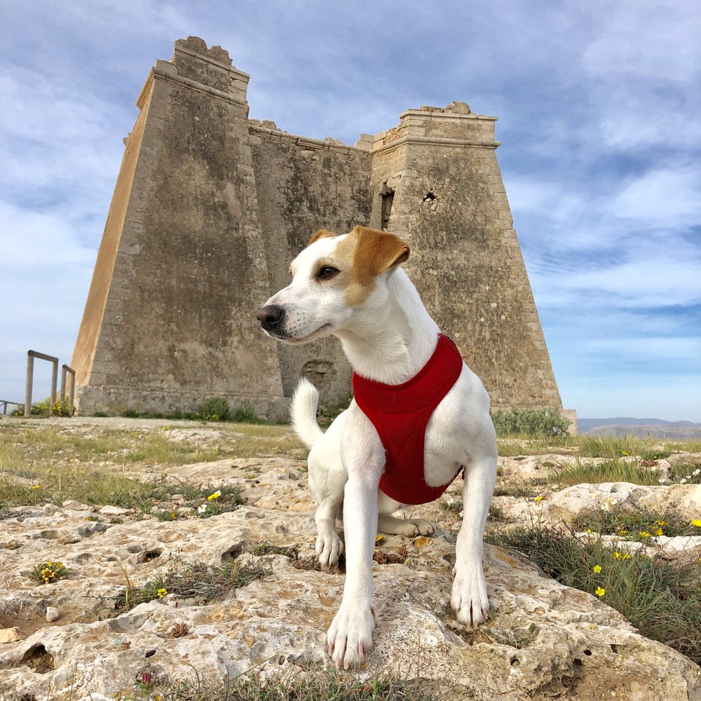 Pipper en la Torre Roldán, escenario de la serie Juego de Tronos.