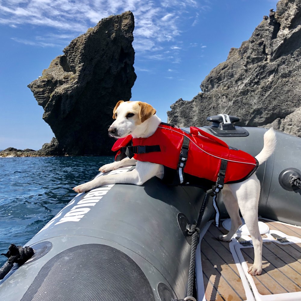 Pipper navegando por el Cabo de Gata.