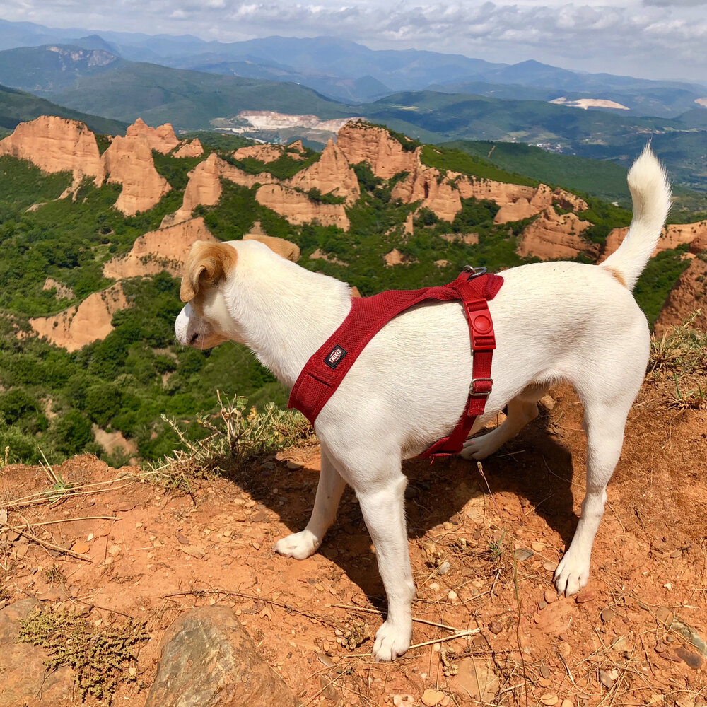 Las Médulas desde el mirador de Orellán.