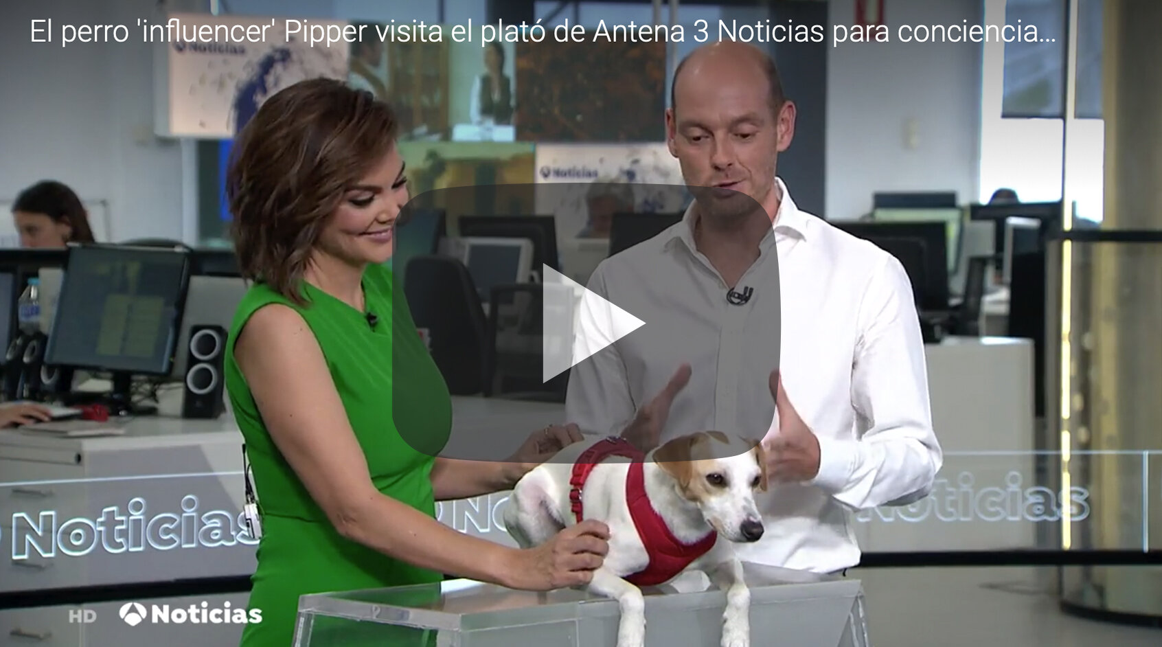 Pipper en Antena 3 Noticias