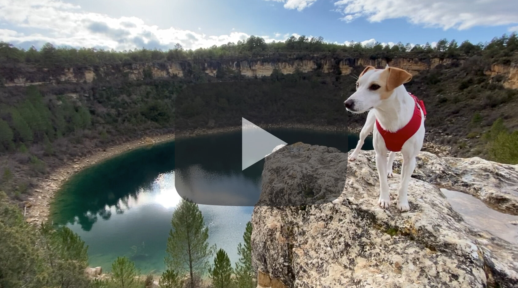 Pipper en la Serranía de Cuenca.