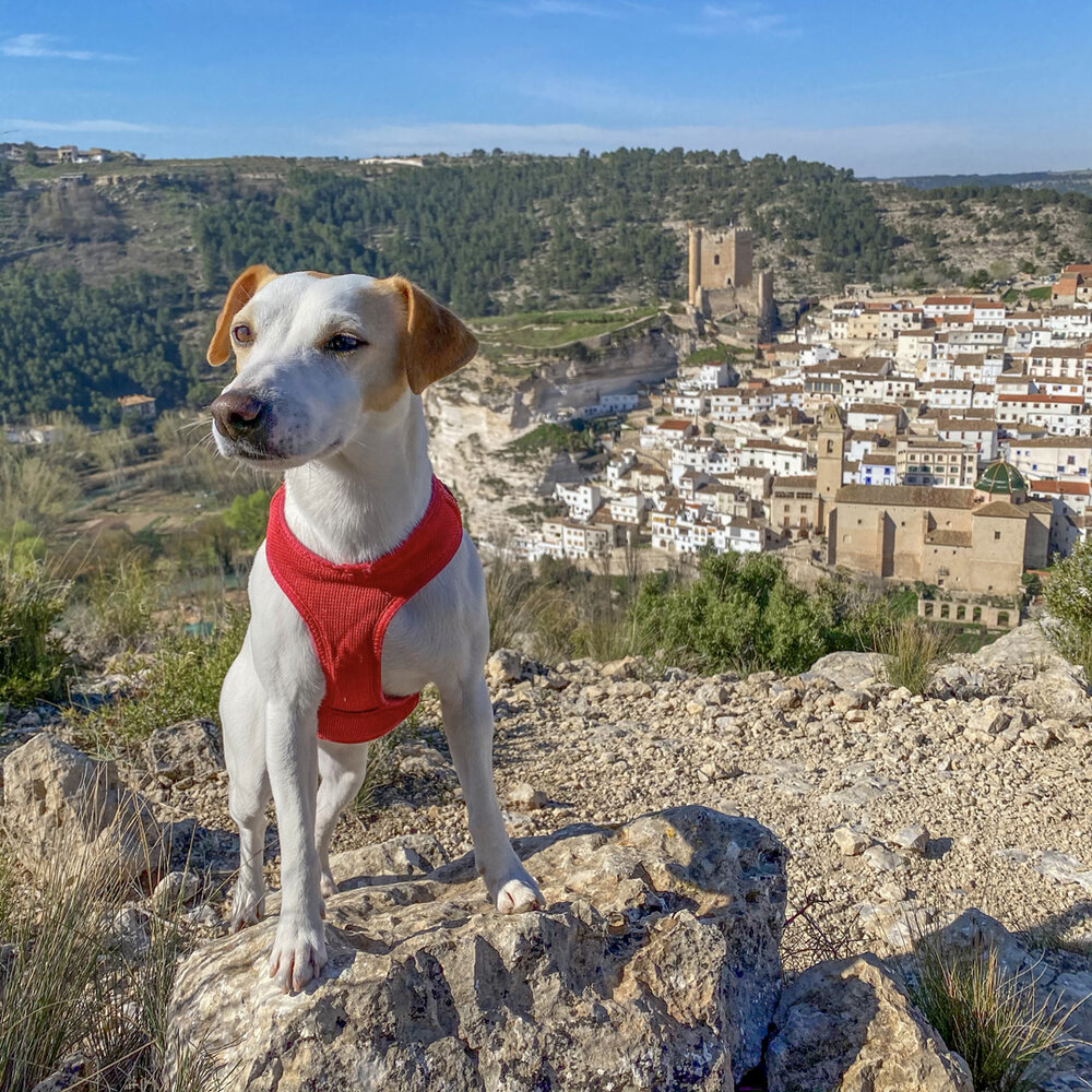 Panorámica de Alcalá del Júcar.