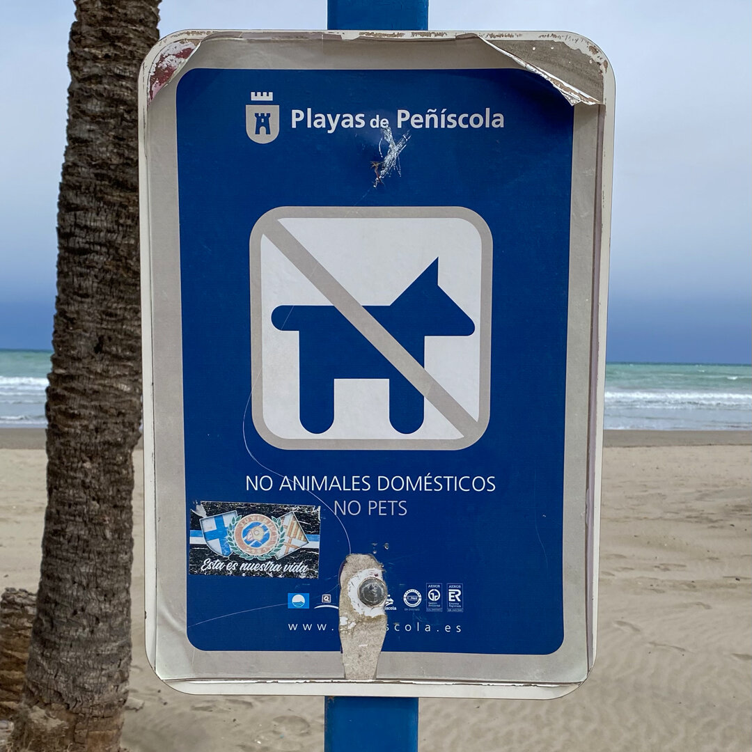 Los perros no pueden entrar en la playa.