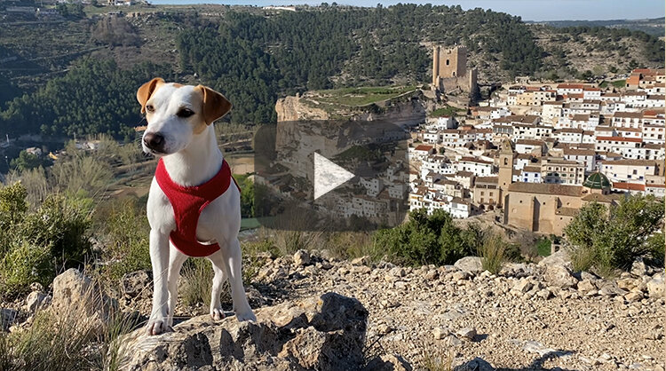 Pipper en Alcalá del Júcar