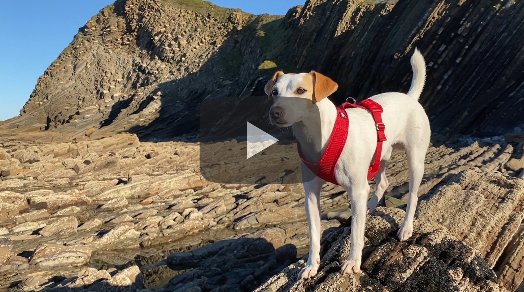 Pipper en Zumaia y el Flysch de la Costa Vasca.