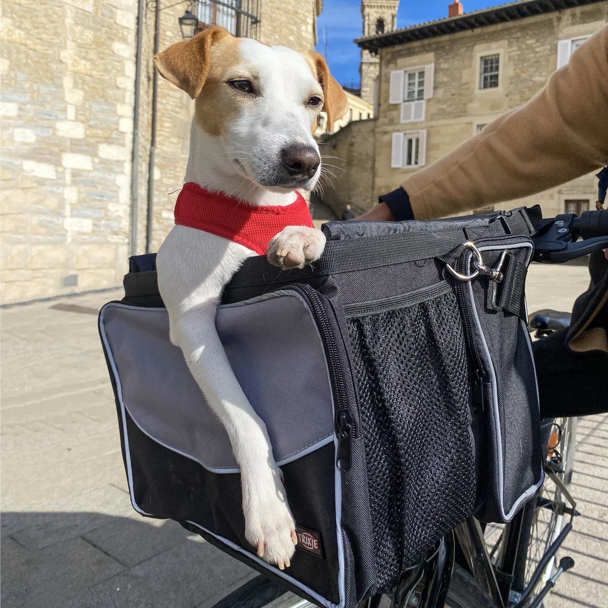 Cesta De Perro Para Bicicleta Cesta Para Bicicleta Para Perros