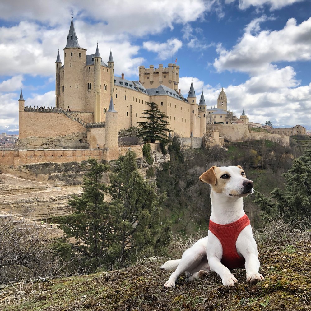 El alcázar de Segovia.