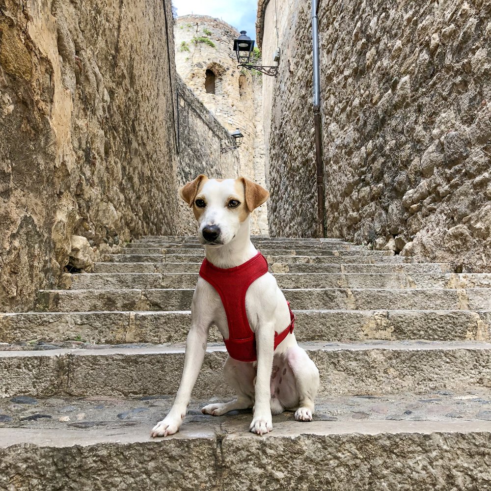 Callejeando por Girona.