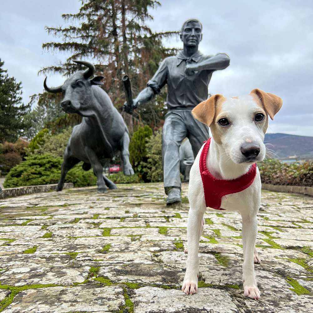 Monumento al encierro.