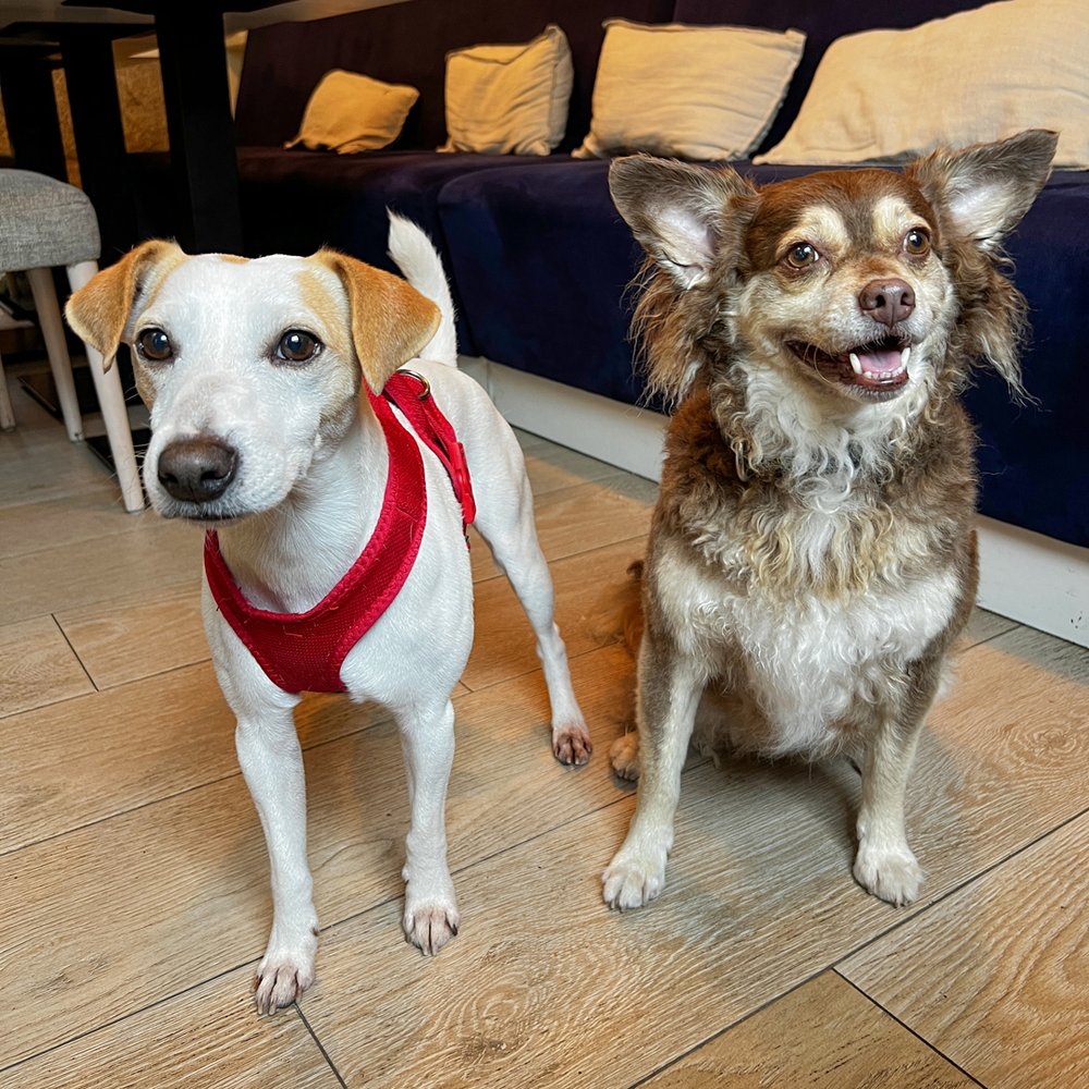 Pipper y Lenda en Café Singular.