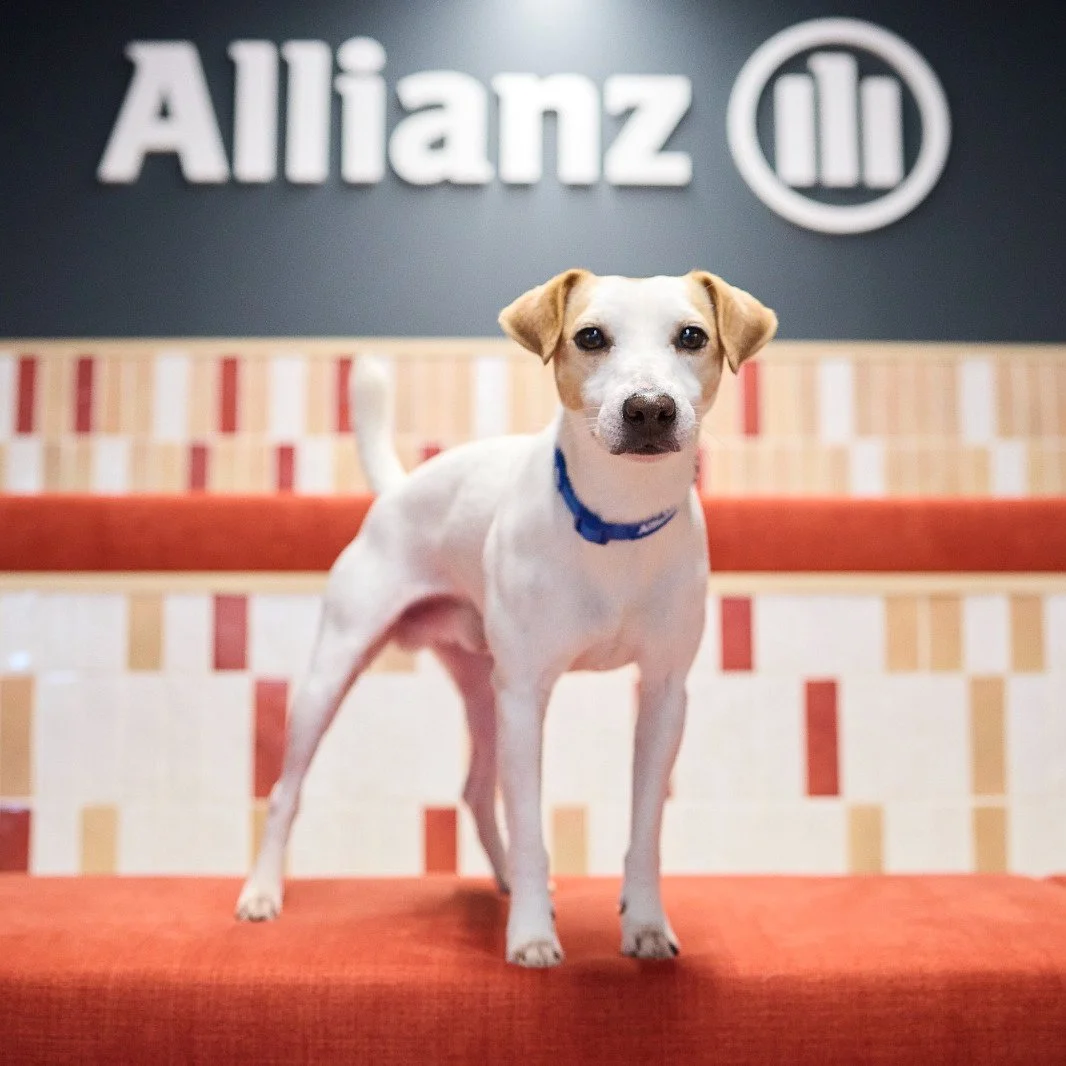 ALLIANZ PATROCINA LOS VIAJES DE PIPPER