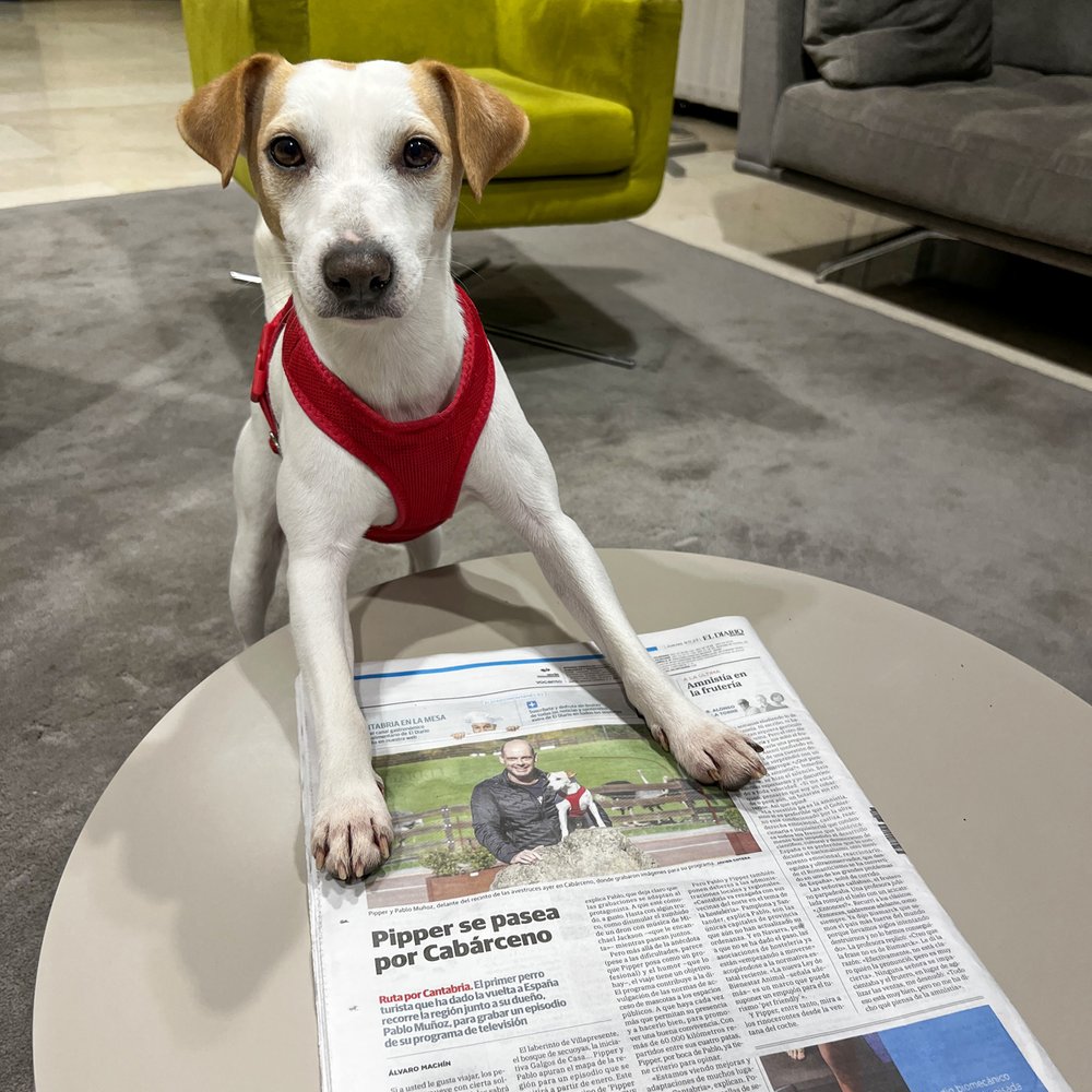 Pipper en la contra del Diario Montañés.