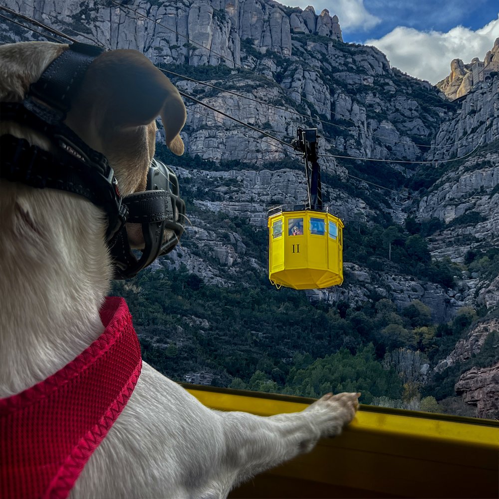 Cabinas del teleférico.