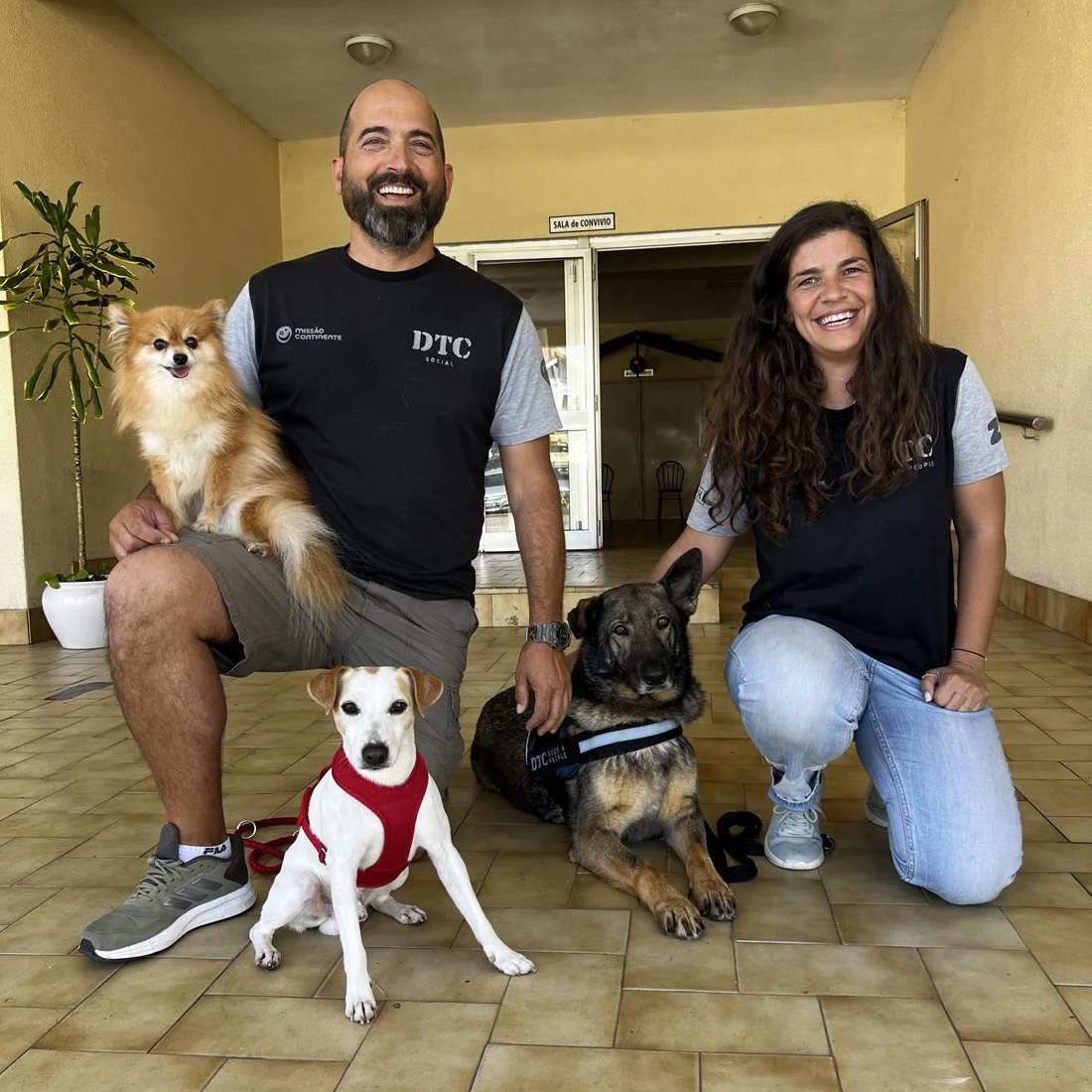DTC SOCIAL, ABRAZOS DE CUATRO PATAS