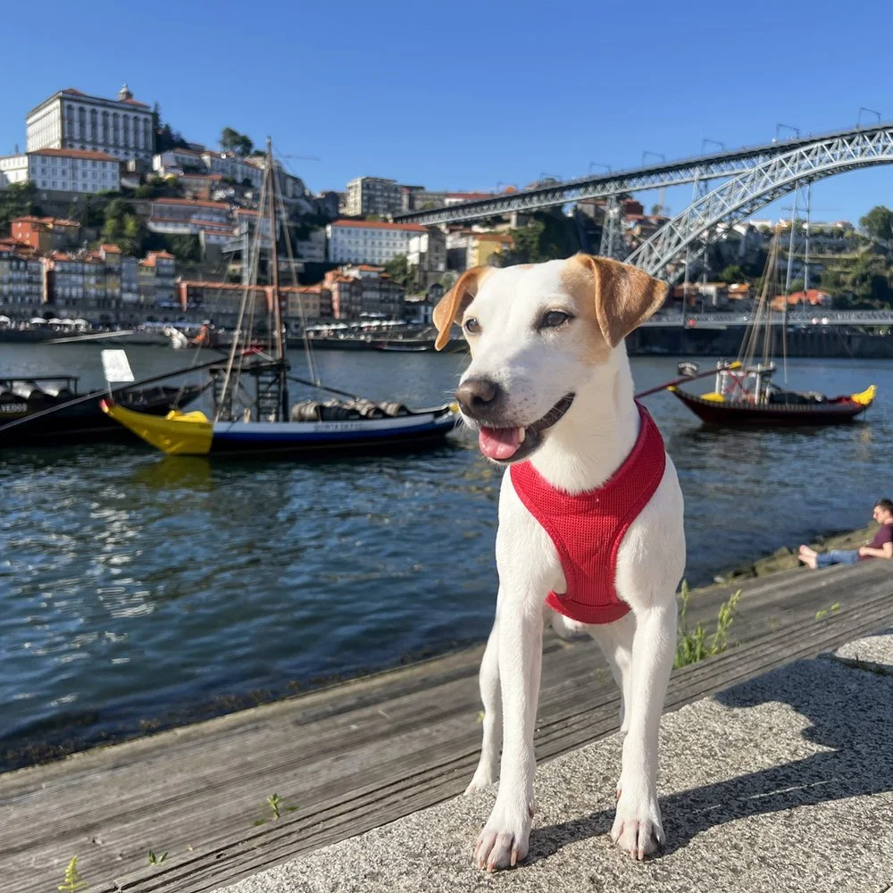 OPORTO