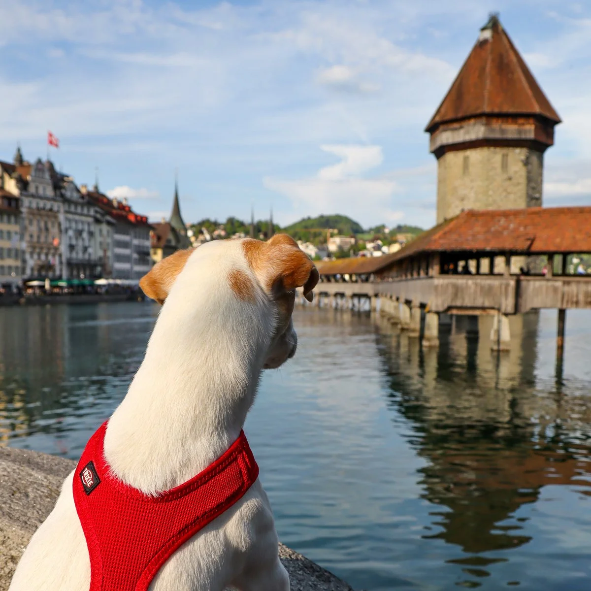 EL LAGO DE LUCERNA