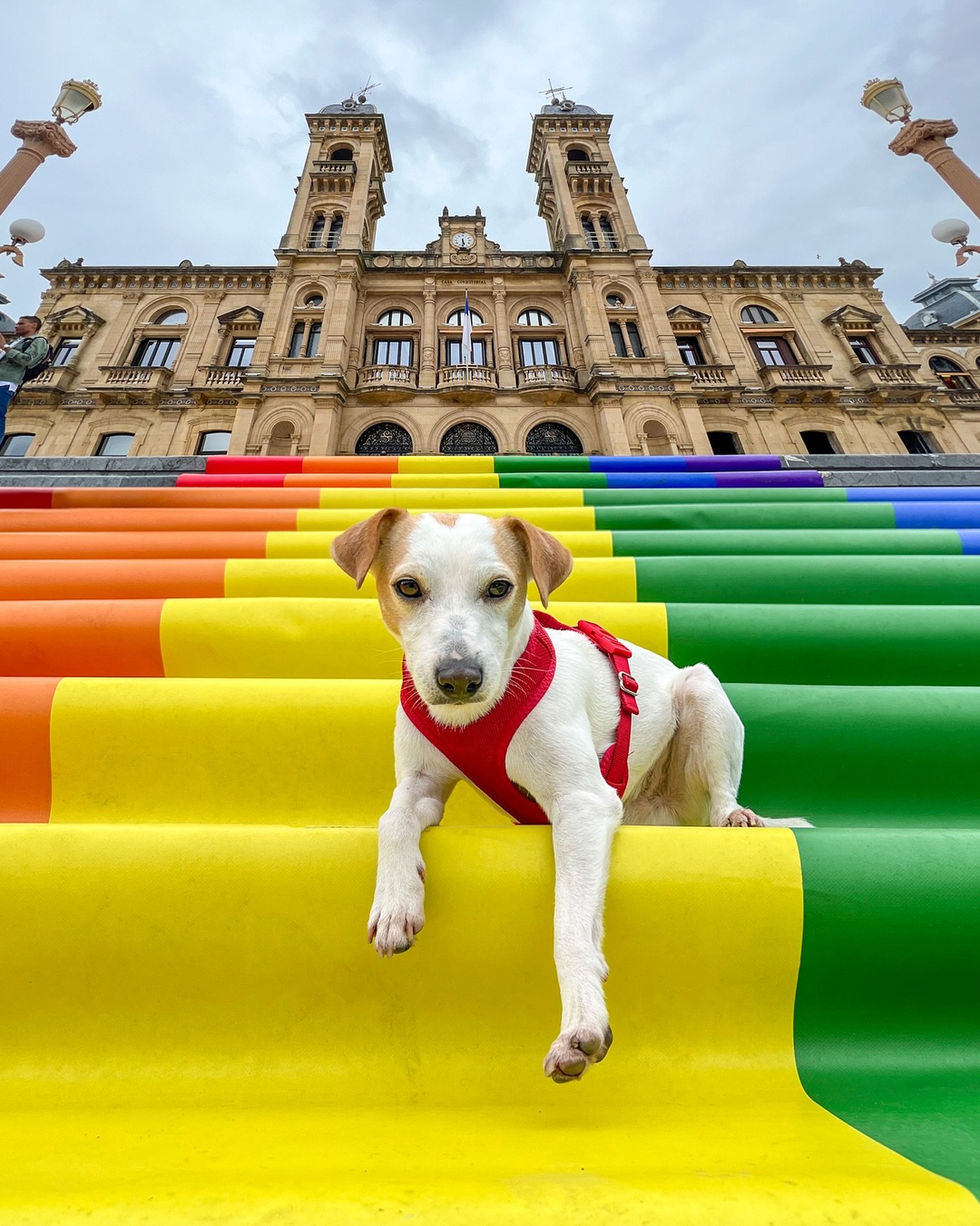 TODO EL MUNDO MERECE SER FELIZ
🏳️&zwj;🌈 Un a&ntilde;o m&aacute;s, el Ayuntamiento de San Sebasti&aacute;n ha desplegado estos d&iacute;as una gran alfombra multicolor en la escalinata de acceso a su sede para recordar que todas las personas son bie