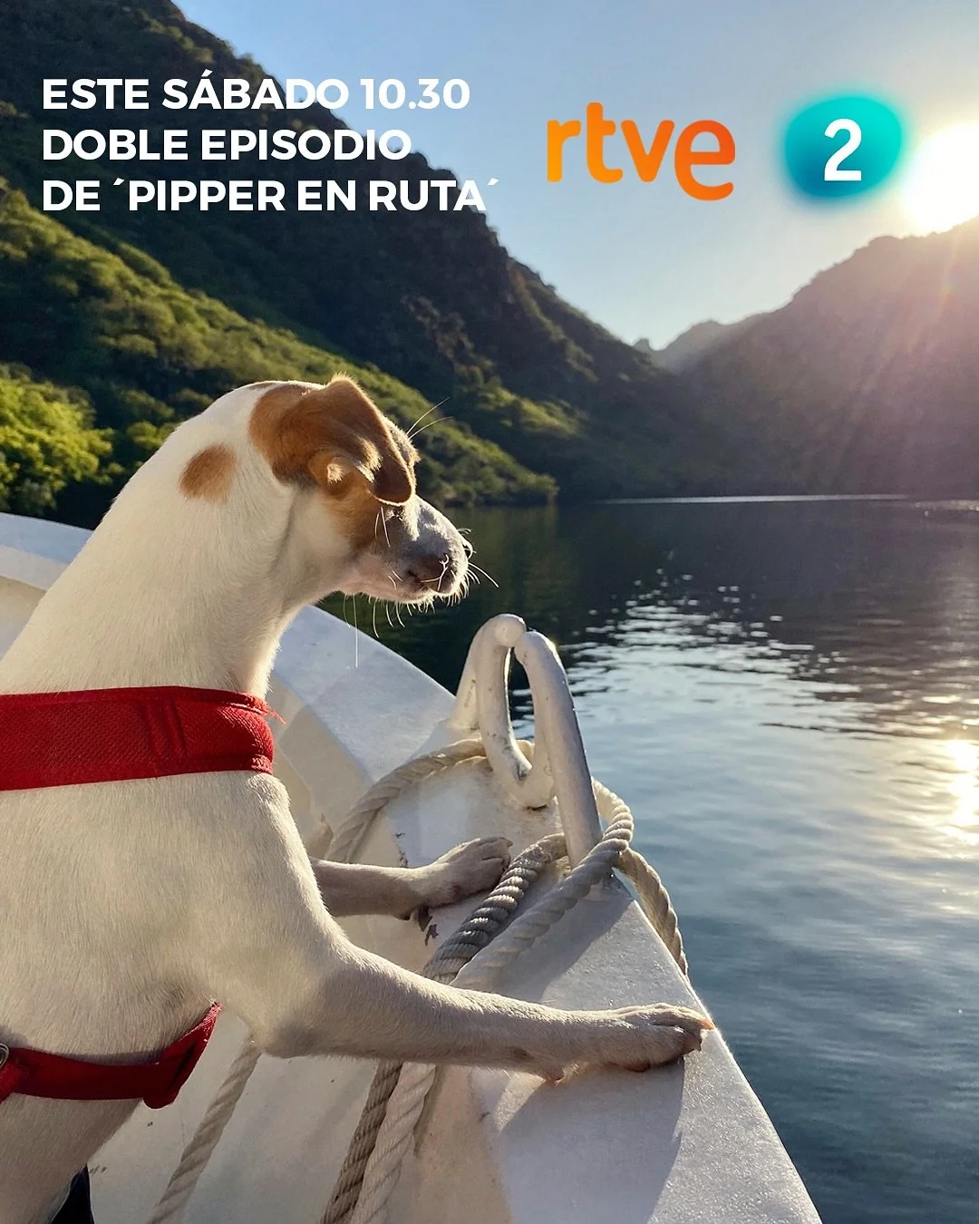 EL S&Aacute;BADO, DOBLE CAP&Iacute;TULO EN LA 2
📺 Este s&aacute;bado a las 10:30, La 2 de TVE emite dos cap&iacute;tulos de &lsquo;Pipper en ruta&rsquo;: Arribes del Duero y, seguidamente, M&aacute;laga, en los que podr&eacute;is conocer planes para