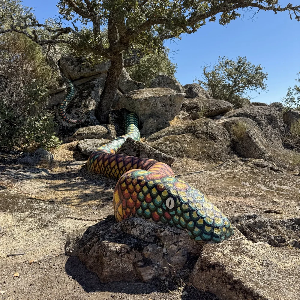 Serpiente de Plasenzuela.