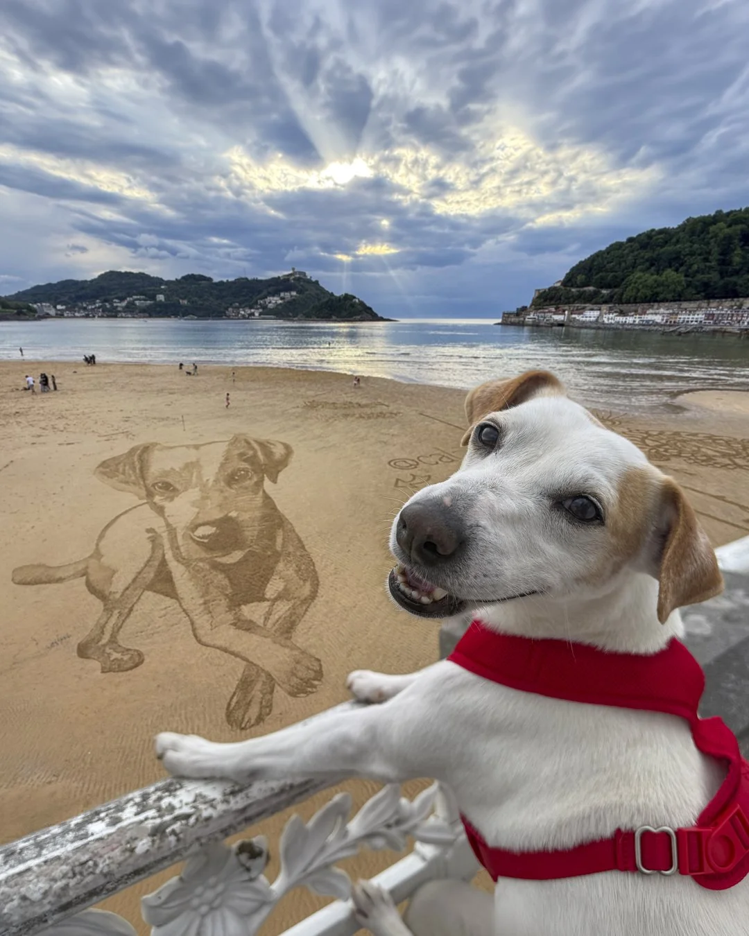 IG Pipper playa concha dibujo cumpleaños.jpg