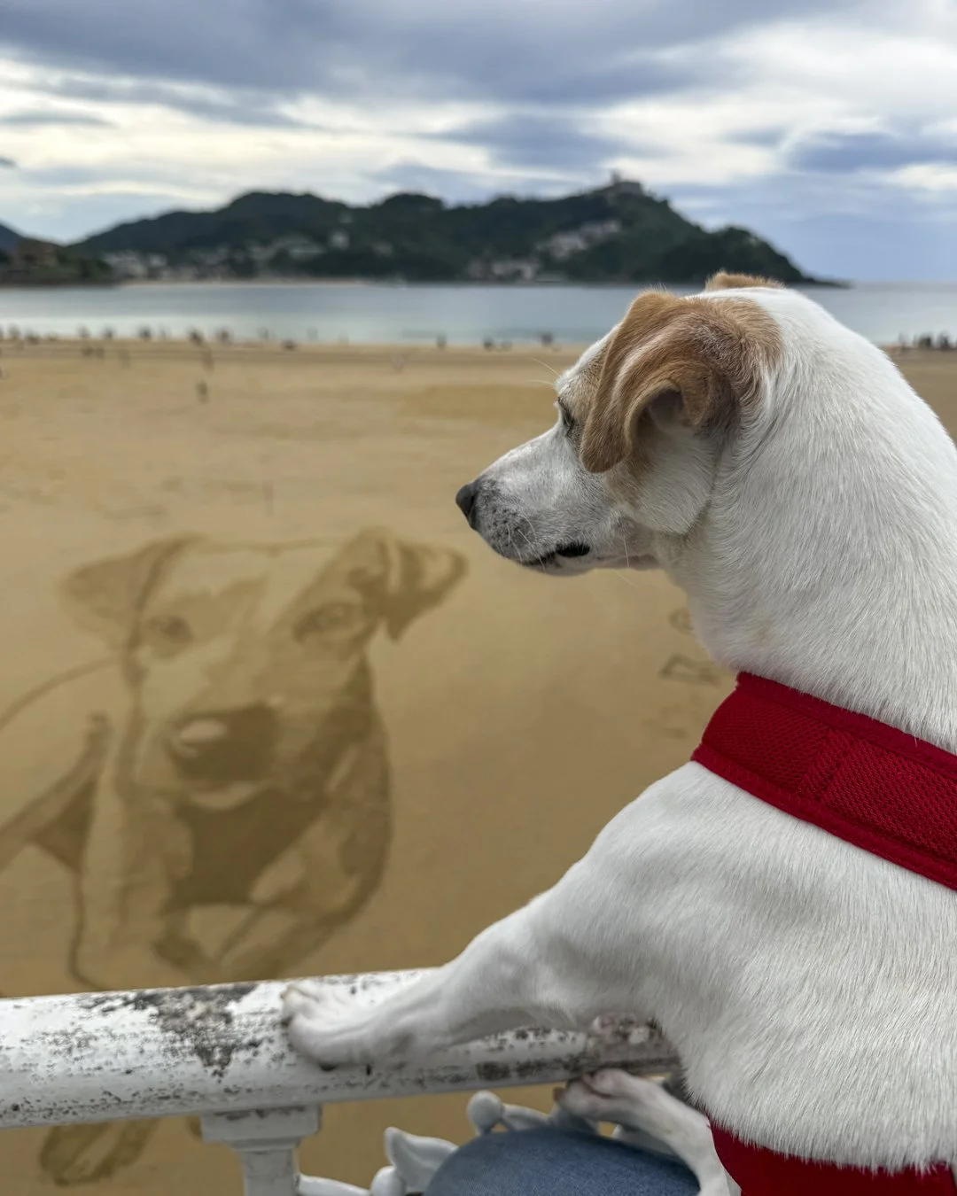 IG Pipper la concha dibujo cumpleaños 4.jpg