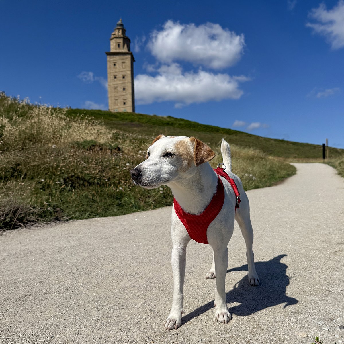 A CORUÑA