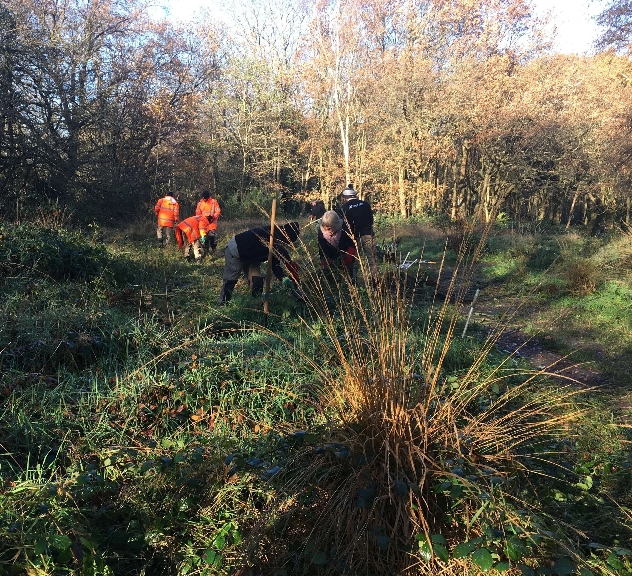 wandsworth-common-events-the-friends-of-wandsworth-common